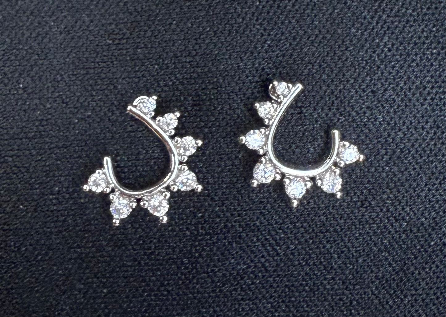 Hook Silver Earrings